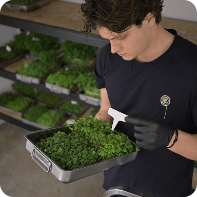 Ferme verticale GreenLab